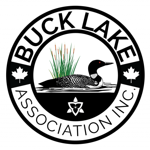 History Buck Lake Association