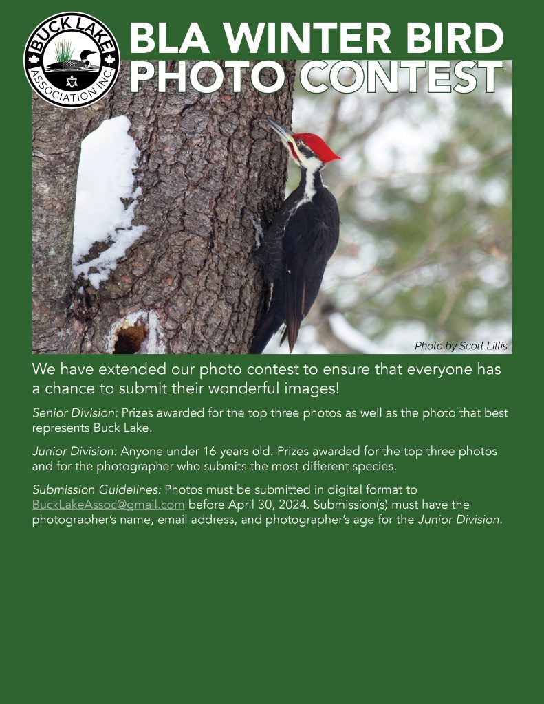 Winter Photo Contest Extended